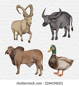 watercolor wild animal clip art farm collection set