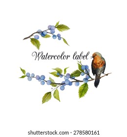 Watercolor Wild Berries Bird Logo Hand Stock Vector (Royalty Free ...