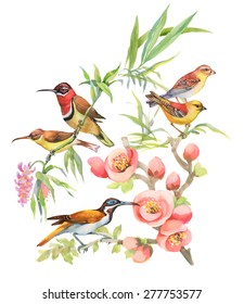 Watercolor Wild exotic birds on flowers pattern on white background vector illustration