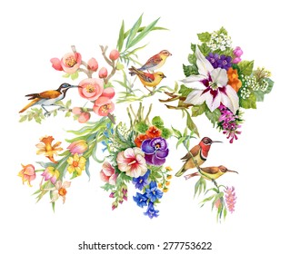 Watercolor Wild exotic birds on flowers pattern on white background vector illustration