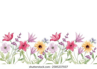 Watercolor wildflower field with colorful flowers illustration