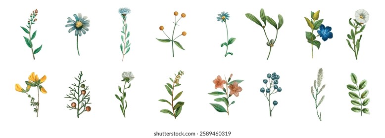Watercolor wildflowers, featuring daisies, berries, and leaves. Wildflowers in various colors, including blue, yellow, and green. Delicate wildflower illustrations. Botanical elements, vector set.