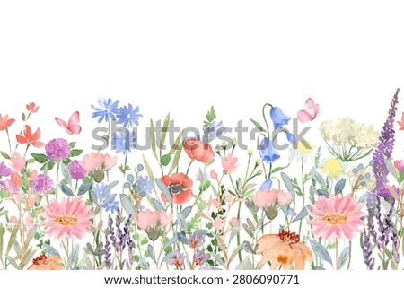 Watercolor wildflowers seamless border vector. Horizontal floral pattern with colorful wild meadow flowers, lavender, poppy, daisy, and butterflies isolated on white background.