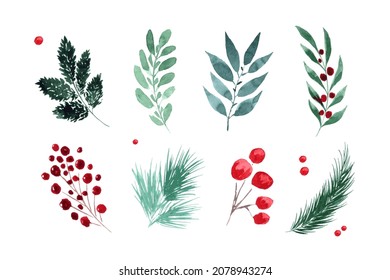 Watercolor winter botanical set. Hand painted branches leaves red berries and foliage. Isolated elements.