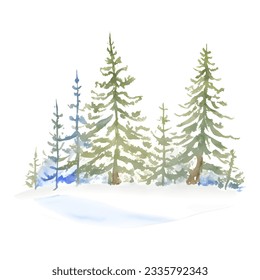 Watercolor winter forest illustration Christmas design, spruce. Nature, holiday background, conifer, snow, outdoor, snowy rural landscape. Fir or pine trees for winter