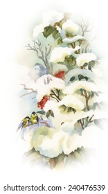 Watercolor winter forest with trees on white background vector illustration