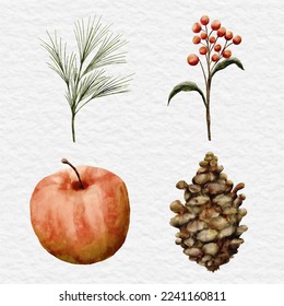 watercolor winter plant element clip art collection