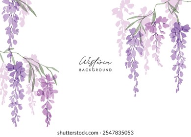 Watercolor of wisteria, isolated on a white background. Floral frame. Watercolor Pink and purple wisteria illustration isolated on a white background.