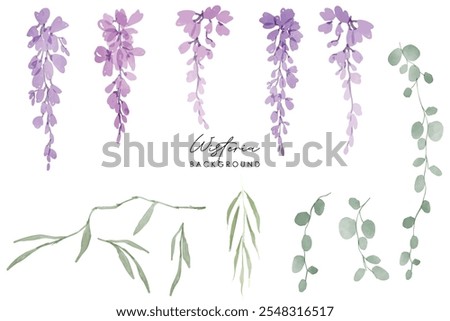 Watercolor of wisteria, isolated on a white background. Floral frame. Watercolor Pink and purple wisteria illustration isolated on a white background.
