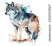 watercolor wolf vector design, isolated in white background