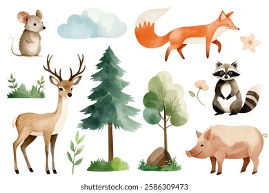 Watercolor woodland animals and forest trees. Set of hand drawn animals. Raccoon, mouse, reindeer, fox, boar