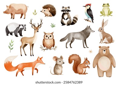 Watercolor woodland animals. Set of hand drawn wild forest animals. Bear, fox, wolf, owl, reindeer, boar, hedgehog.