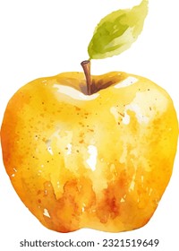 Watercolor Yellow Apple Illustration. Hand-drawn fresh food design element isolated on a white background.