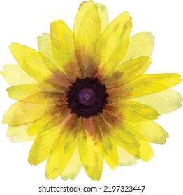 Watercolor yellow daisy flower simple painting