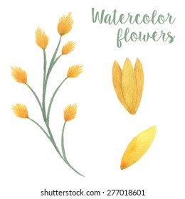 Watercolor yellow flower and floral