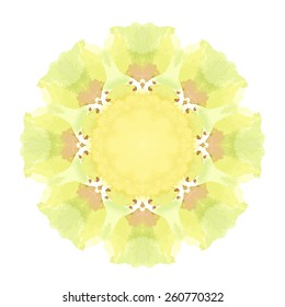 Watercolor Yellow Flower Mandala. Lace circular ornament on white background. Oriental Geometric circle element. Vector illustration.