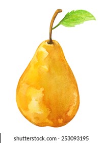 Watercolor yellow pear fruit whole with leaf closeup isolated on white background