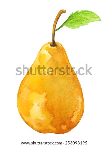 Watercolor yellow pear fruit whole with leaf closeup isolated on white background