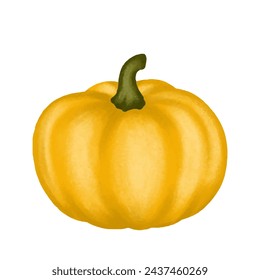 A watercolor yellow pumpkin, vector single object