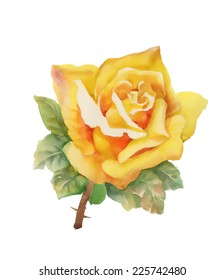 Watercolor yellow rose isolated on white background vector illustration