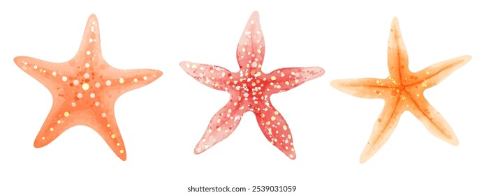 Watercolor yellow starfish. Vector illustrations of sea animals