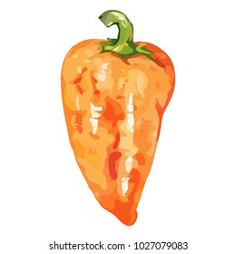 Watercolor yellow sweet bell Bulgarian pepper vegetable isolated vector