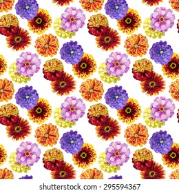 Watercolor zinnia. Vector seamless pattern