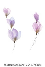 Aquarelas flores modelo convite ilustrações vetor