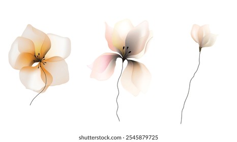 Watercolors flowers template invitation  illustrations vector 