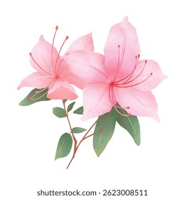 Watercolor-style illustration of pink japanese azalea flowers with green leaves. Blossom  rhododendrons. Perfect for spring, wedding invitations, greeting cards, or feminine designs