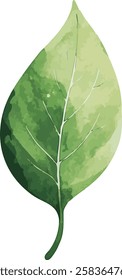 A watercolor-style illustration of a single green leaf with visible veins, featuring gradient shades of green. Vector file in EPS format.