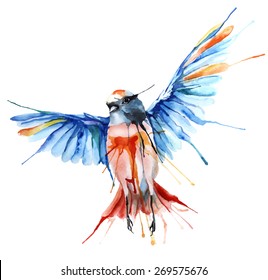 Watercolor-style vector illustration of bird.