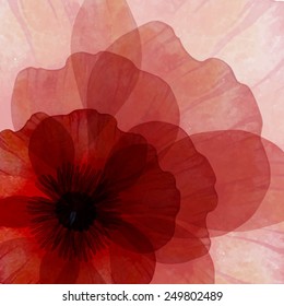 Watercolor-style vector illustration of Poppies