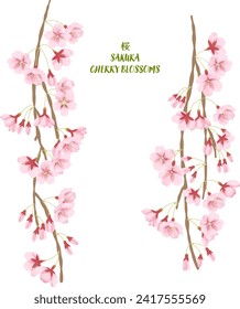 Watercolor-style Weeping Cherry Blossom Illustration Parts Set
