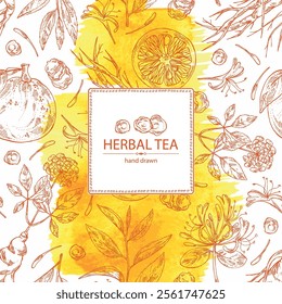 Watercolot background with tea, fruits and hearbs, herbal tea: tea leaves, ginseng root, chinese honeysuckle flowers, lonicera pileata, yuzu fruit, citrus junos. Vector hand drawn illustration.