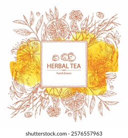 Watercolot background with tea, fruits and hearbs, herbal tea: tea leaves, ginseng root, chinese honeysuckle flowers, lonicera pileata, yuzu fruit, citrus junos. Vector hand drawn illustration.