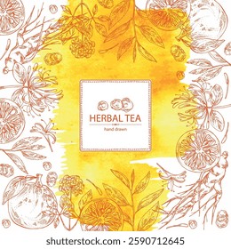 Watercolot background with tea, fruits and hearbs, herbal tea: tea leaves, ginseng root, chinese honeysuckle flowers, lonicera pileata, yuzu fruit, citrus junos. Vector hand drawn illustration.