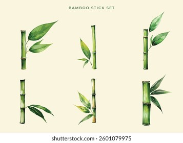 Watercolour Bamboo illustrations set vector element