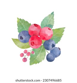 Watercolour berries clip rt. Simple cartoon berries for juice package, berry yogurt