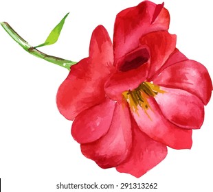 A watercolour drawing of a red rose, scalable vector graphic