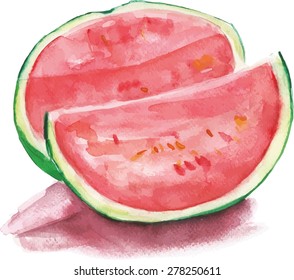 Watercolour drawing of a watermelon, scalable vector graphic