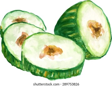 Watercolour melon slices, scalable vector graphic