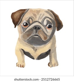  Watercolour painting dog on white background , vector print, Pug dog puppy,