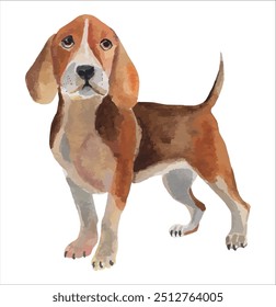  Watercolour painting dog , vector print, beagle dog isolated on white background