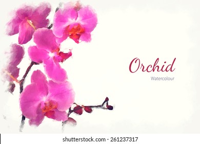 A watercolour pink orchid over a white background, with space for text. EPS10 vector format