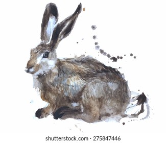 Watercolour rabbit. Hand illustrate. Vector illustration