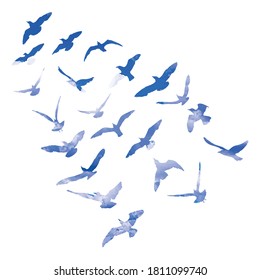 Watercolour silhouette of flying birds seagulls on white background. Inspirational for body or flesh tattoo ink of sea birds. Vector.