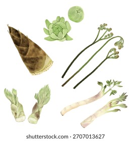 Watercolour Style: Assorted Spring Mountain Vegetables Set Hand-painted, Realistic