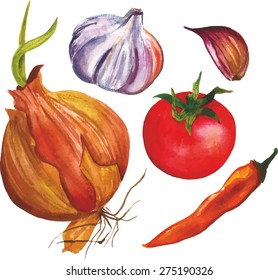 Watercolour vegetable set: a golden onion, a red tomato, a garlic, a garlic clove and a yellow chili pepper, scalable vector drawings