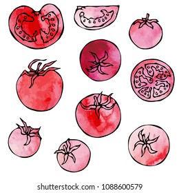 Watercolour Whole Tomato, Tomato Slices, Half of Tomato and Cherry Tomatoes. Fresh Ripe Vegetables Background. Vegan Cuisine. Hand Drawn Vector Illustration. Savoyar Doodle Style